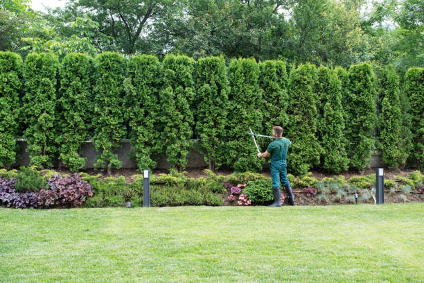 Lawn Maintenance Plans in Cedar Glen Lakes, NJ